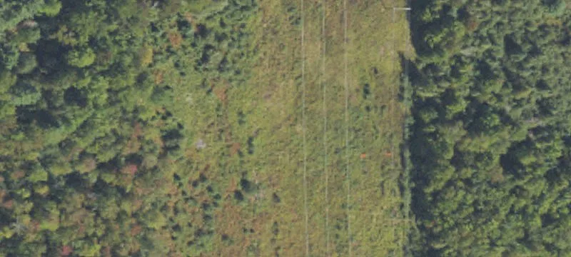 Alger, MI 48610