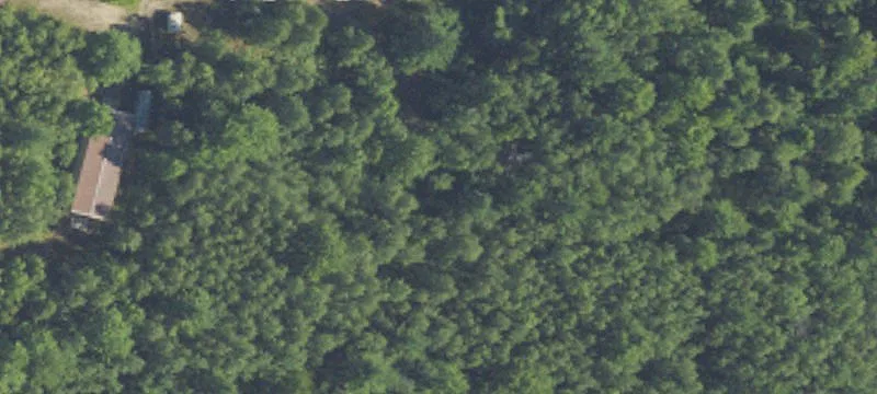 Kalkaska, MI 49646