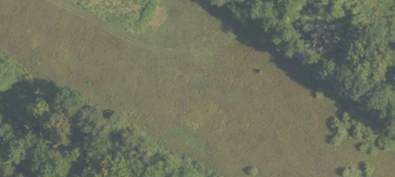 Lakeview, MI 48850