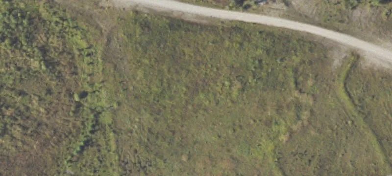 Weiss Rd