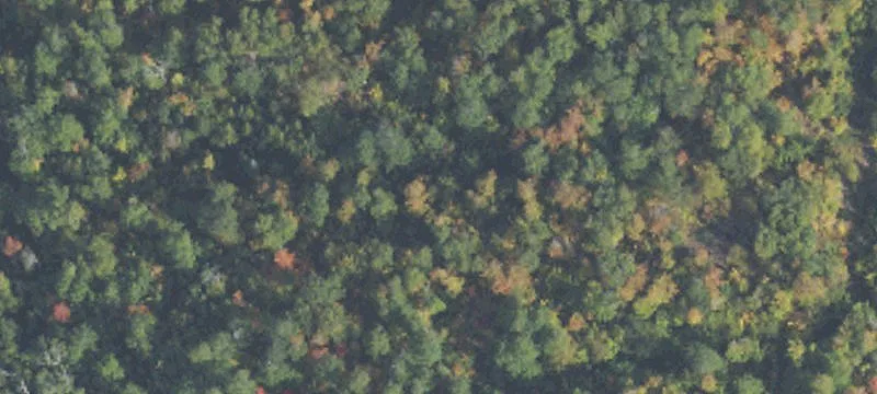Mohawk, MI 49950
