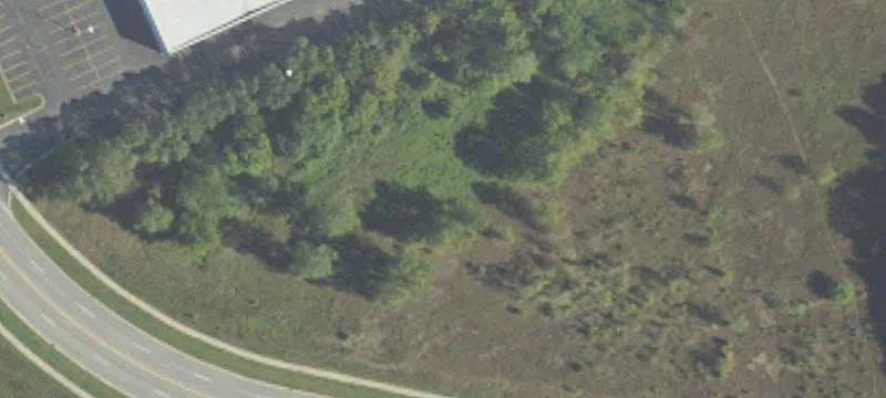 Cottonwood Dr