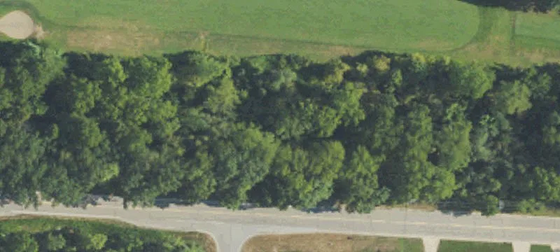 Grosse Ile, MI 48138