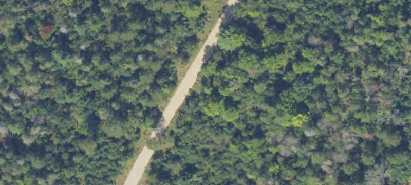 Sunny Lk Rd