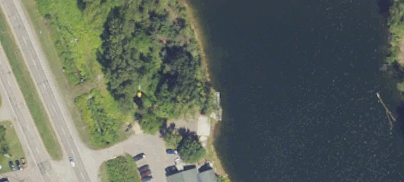 14 Cedarwoods