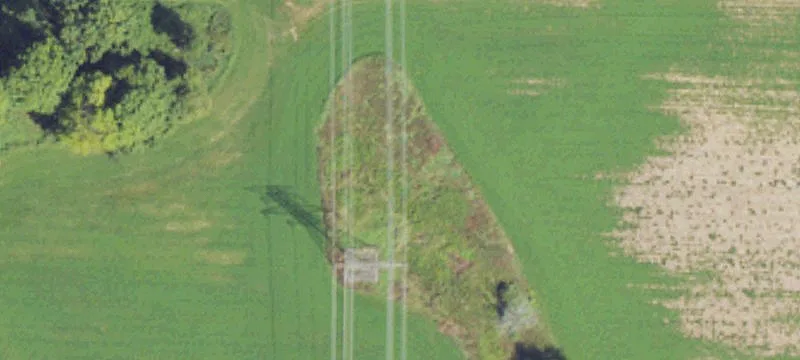 Fremont, MI 49412