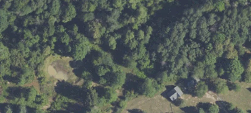 Murphy Rd
