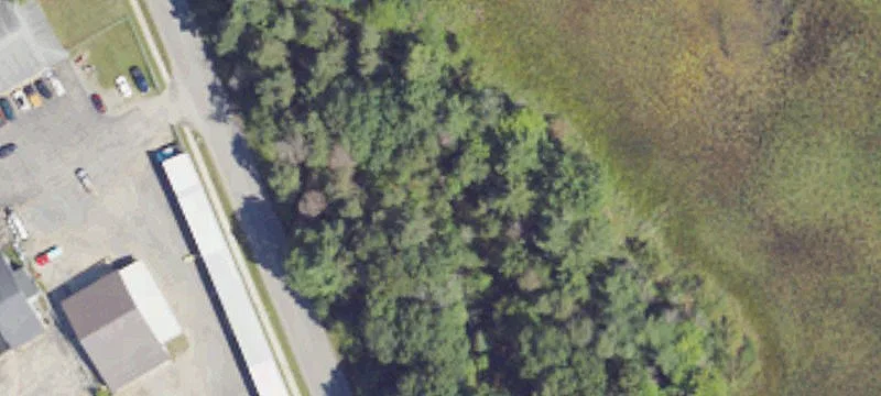 Newaygo, MI 49337