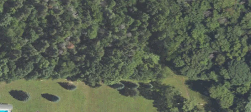 Grand Ledge, MI 48837