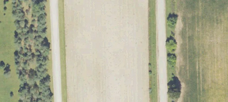 M-55