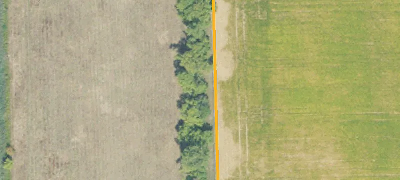 Owendale, MI 48754