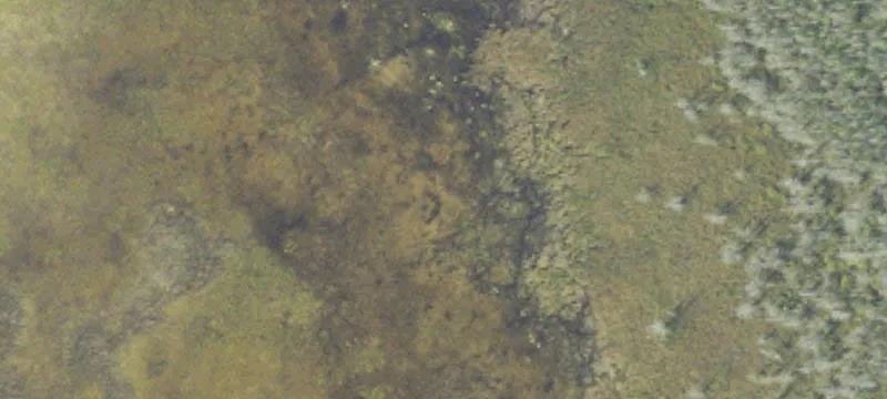 Posen, MI 49776