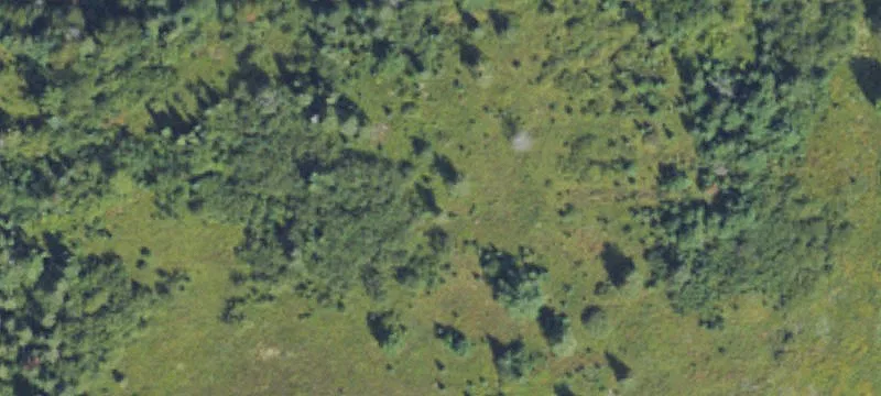 Bruce Crossing, MI 49912
