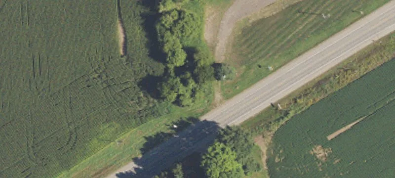 Spg Arbor Rd