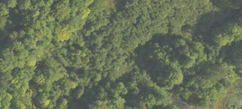 22678 7th Mile Rd
