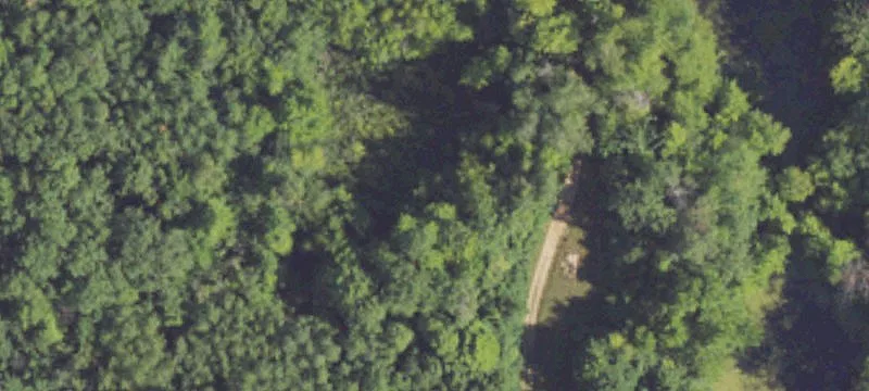 White Cloud, MI 49349