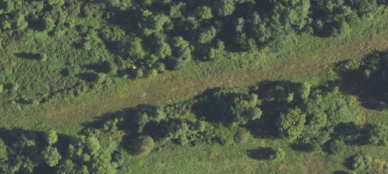 Dewitt, MI 48820