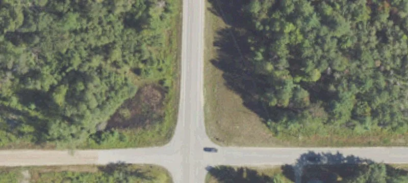 Manton, MI 49663