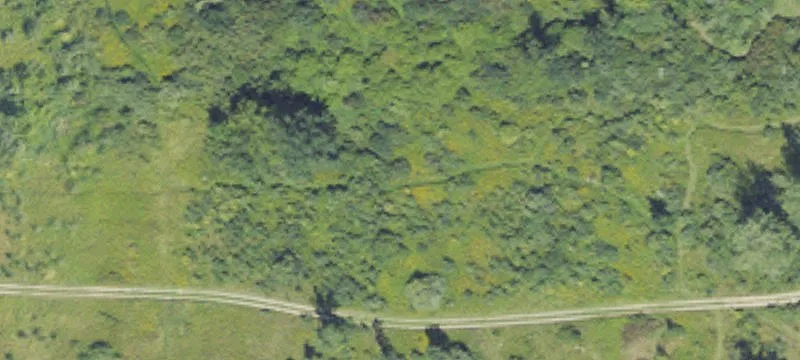 Van Dyke Rd