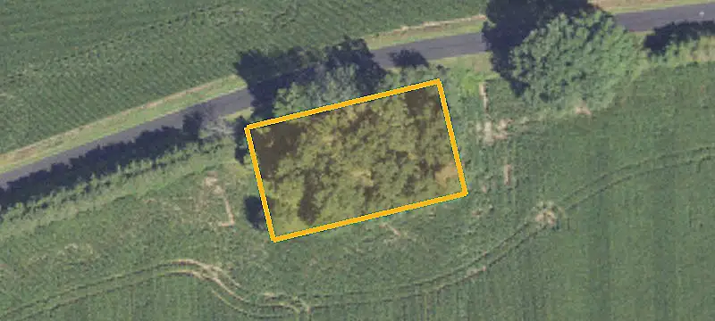 8000 Pixley Rd