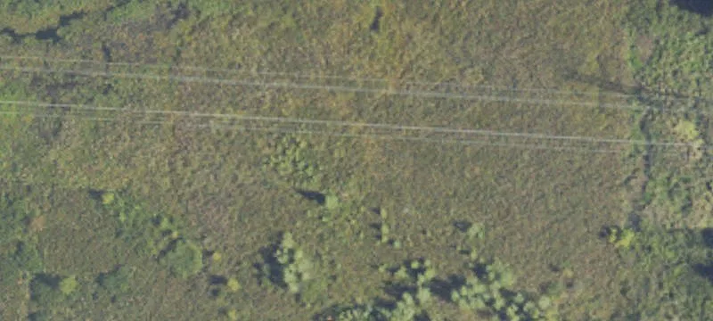 Greenville, MI 48838
