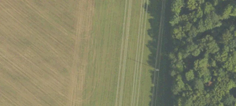 Holton, MI 49425