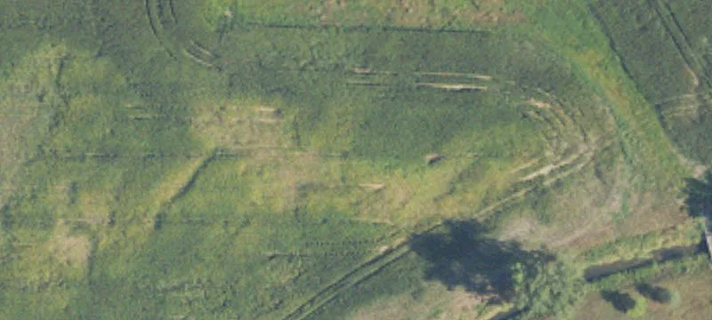 Middleton, MI 48856