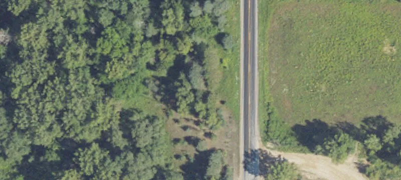 Warner Rd