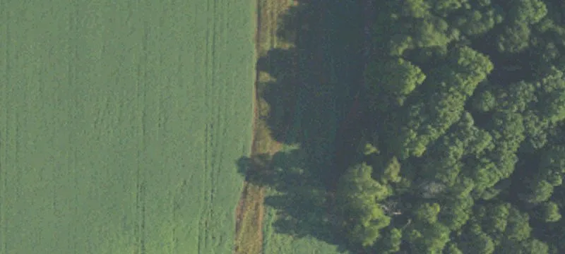Anderson Hwy