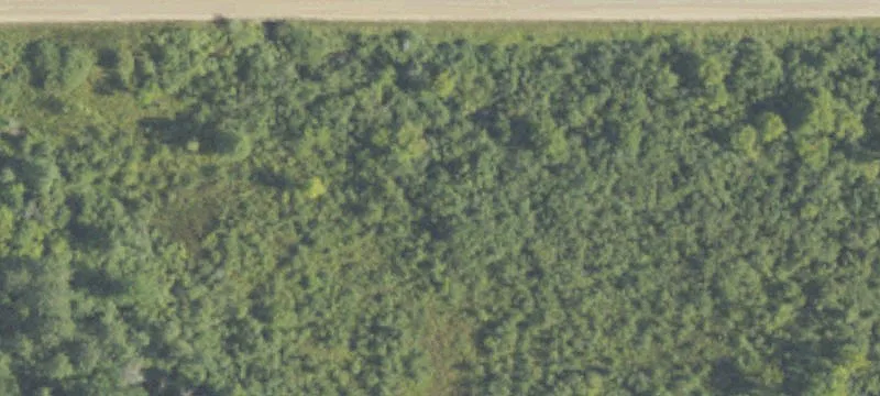 Six Lakes, MI 48886