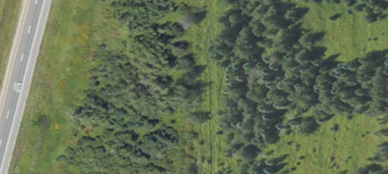 10 Mile Rd