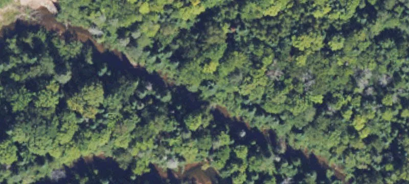Hazel Swamp Rd Ofc Of