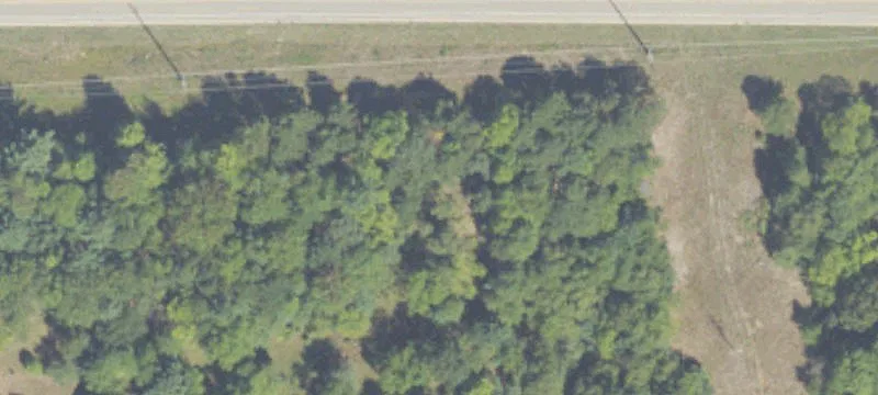 Us 31