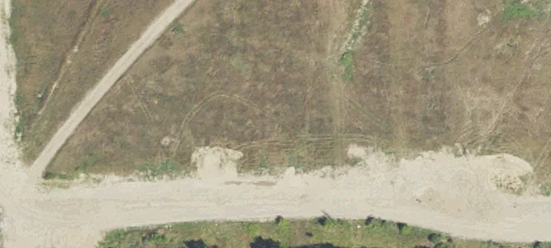 Torrey Rd