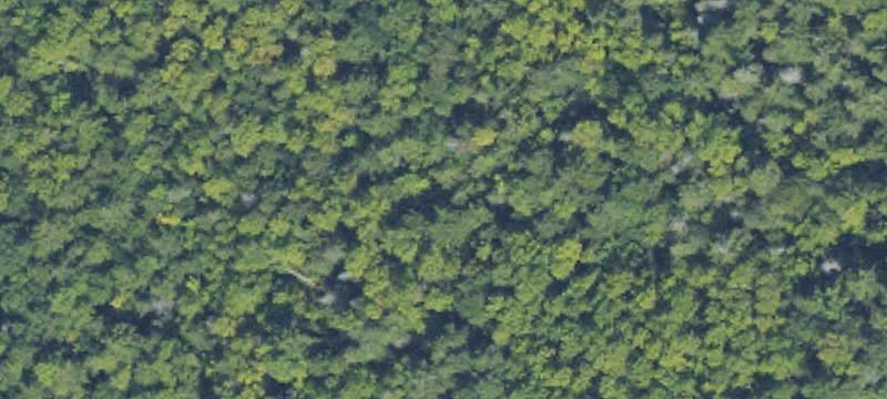 Rockland, MI 49960