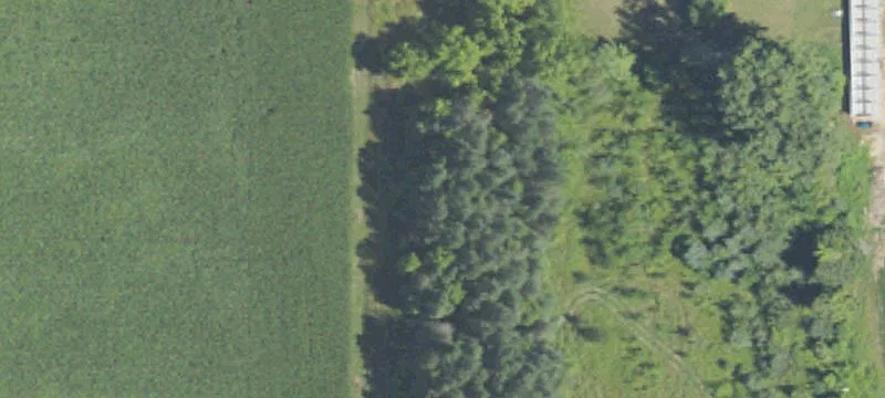 Standish, MI 48658