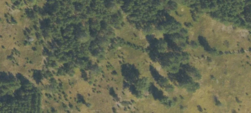 Lewiston, MI 49756