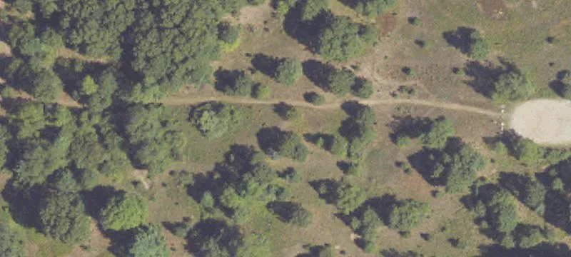 Gowen, MI 49326