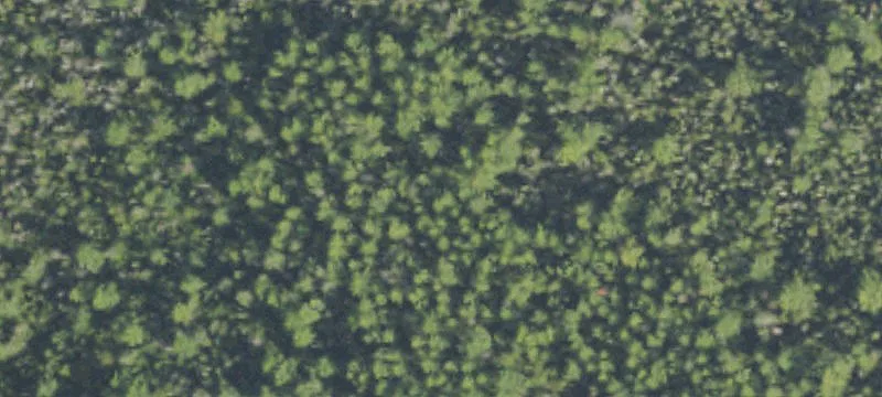 Lupton, MI 48635