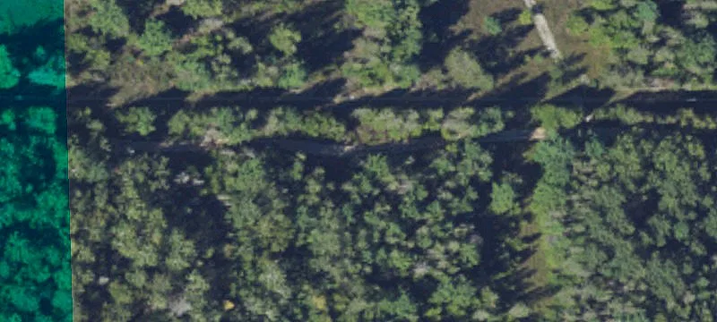 Long Lk Rd