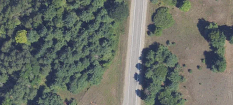 Us 31