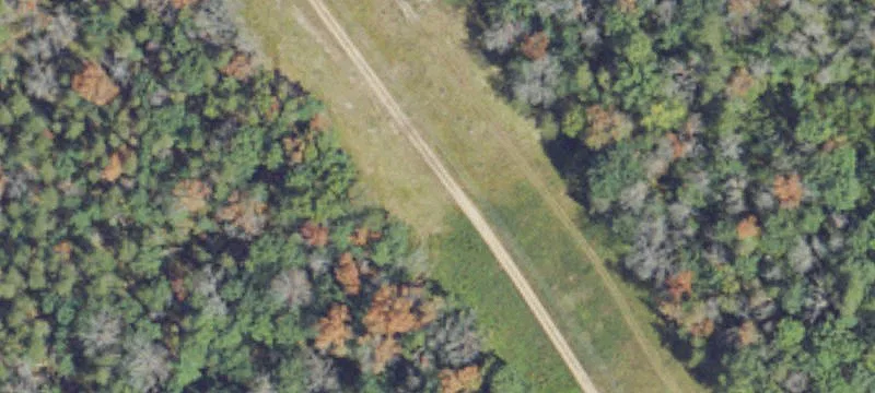 Irons, MI 49644