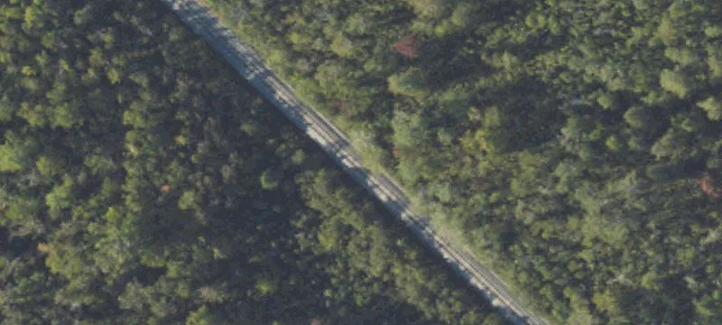 Wilds Rd