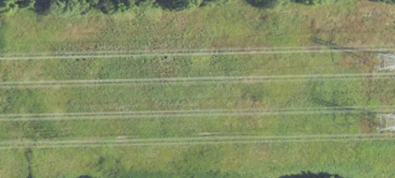 Carleton W Rd