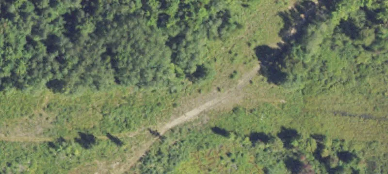 Bergman Rd