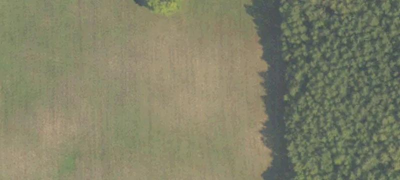 White Cloud, MI 49349