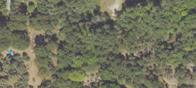 Free Soil, MI 49411