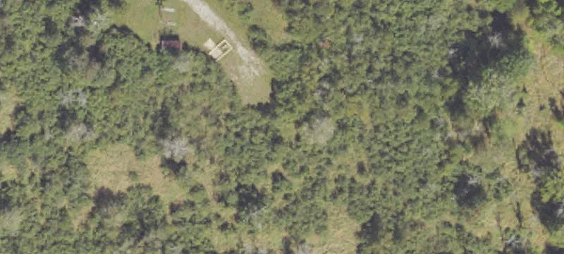 Free Soil, MI 49411