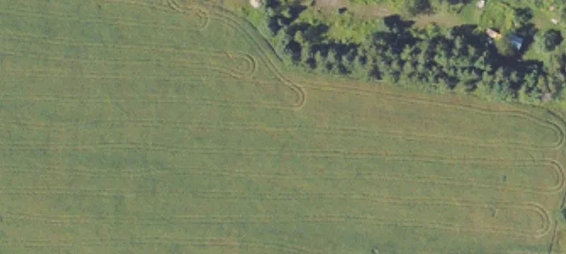 Chatham, MI 49816