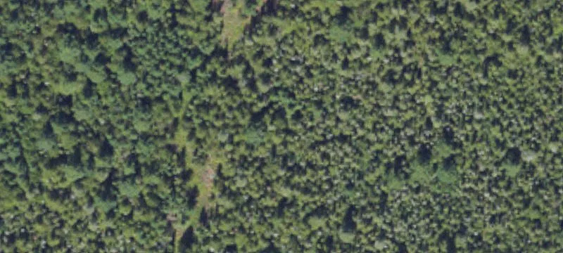 769 M 134